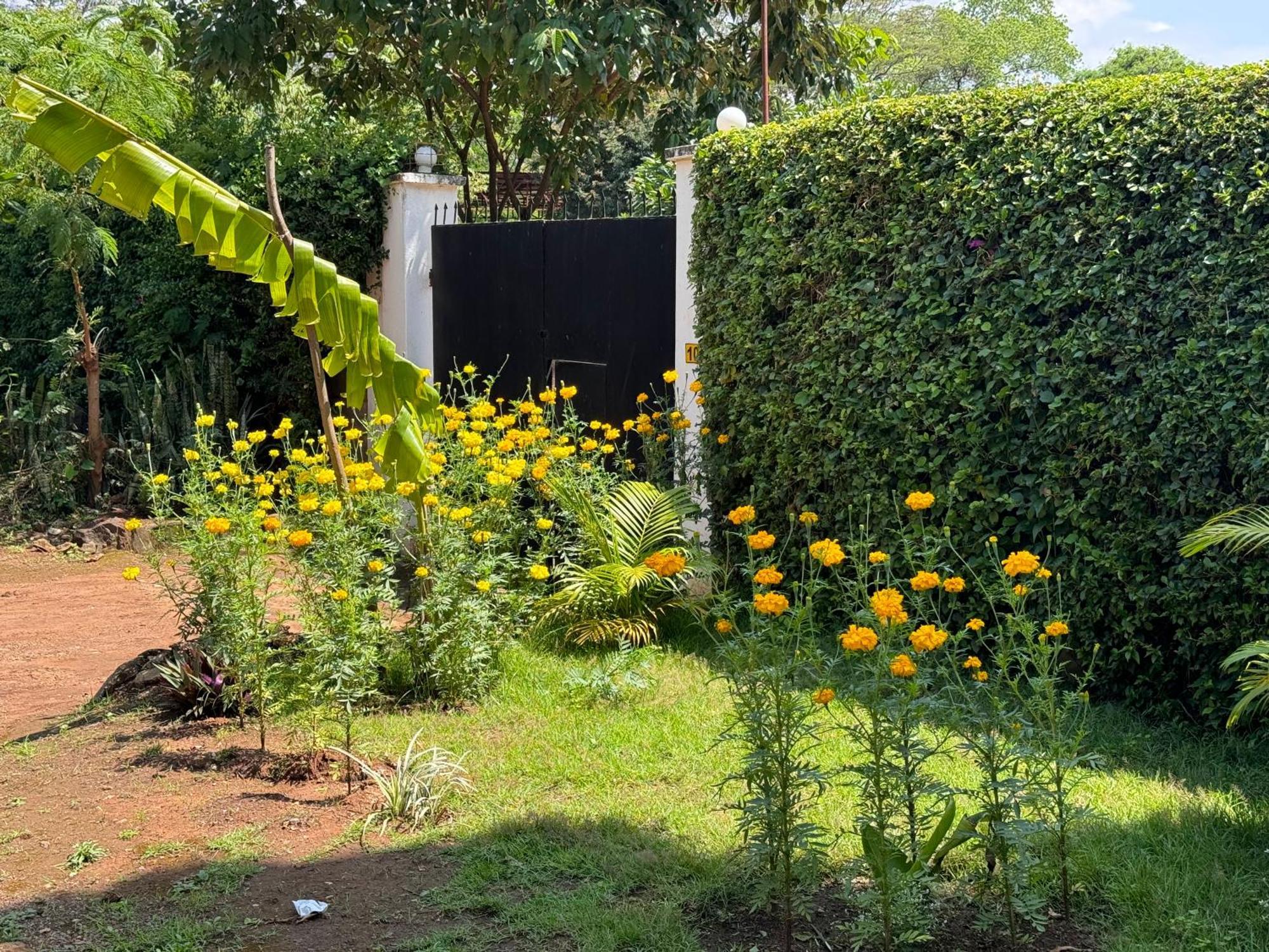 Karibu Africa Home Moshi Exterior photo
